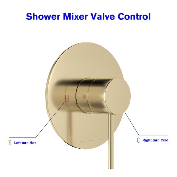 Lordear 10" Stainless Steel Round Gold Shower Head with Valve from Lordear