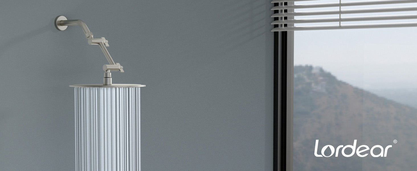 Premium Rain Shower Head