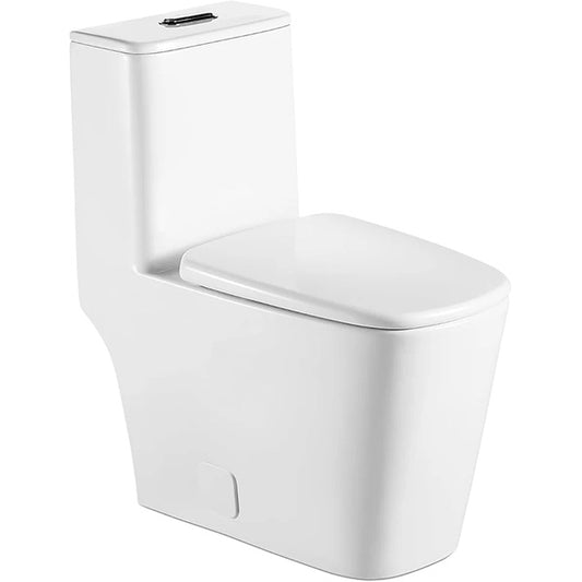 Lordear White Ceramic Elongated Floor One Piece Bidet Toilet with Comfortable Seat  from Lordear