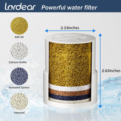 Lordear 8" Stainless Steel Square Wall Mounted Waterfall High Pressure Filtered Shower Head  from Lordear