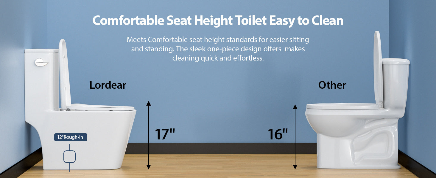 One Piece Toilet